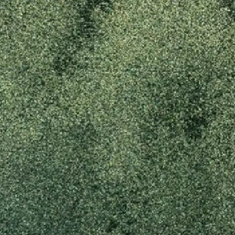 VERT JUNGLE